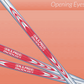 Fujimoto FT Series Custom Irons (4-P)